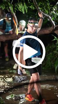 BIB:  <button type="button" onclick="openModal(27602339)" class="btn btn-primary btn-sm float-right" data-toggle="modal" data-target=".modal-high-quality">
                <i class="fa fa-download"></i> Download
                </button>